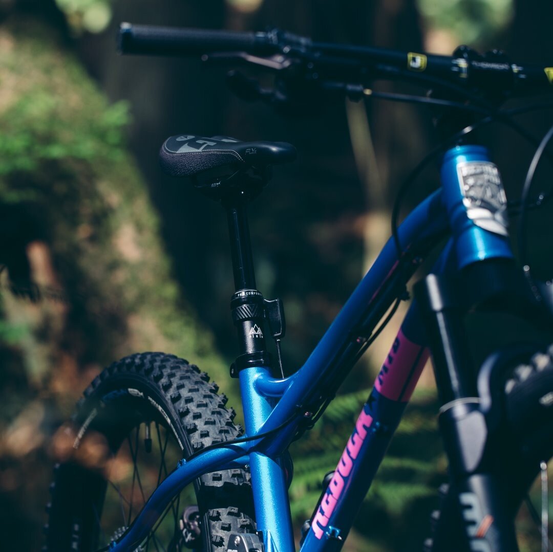 Earlier this week, @pnwcomponents launched a kids' dropper post called The Fern, and we were honored to be a setpiece with a Rebula MTB kids' hardtail. Fern features a low-pressure system that's easier for little hands. It's the same reason we built 