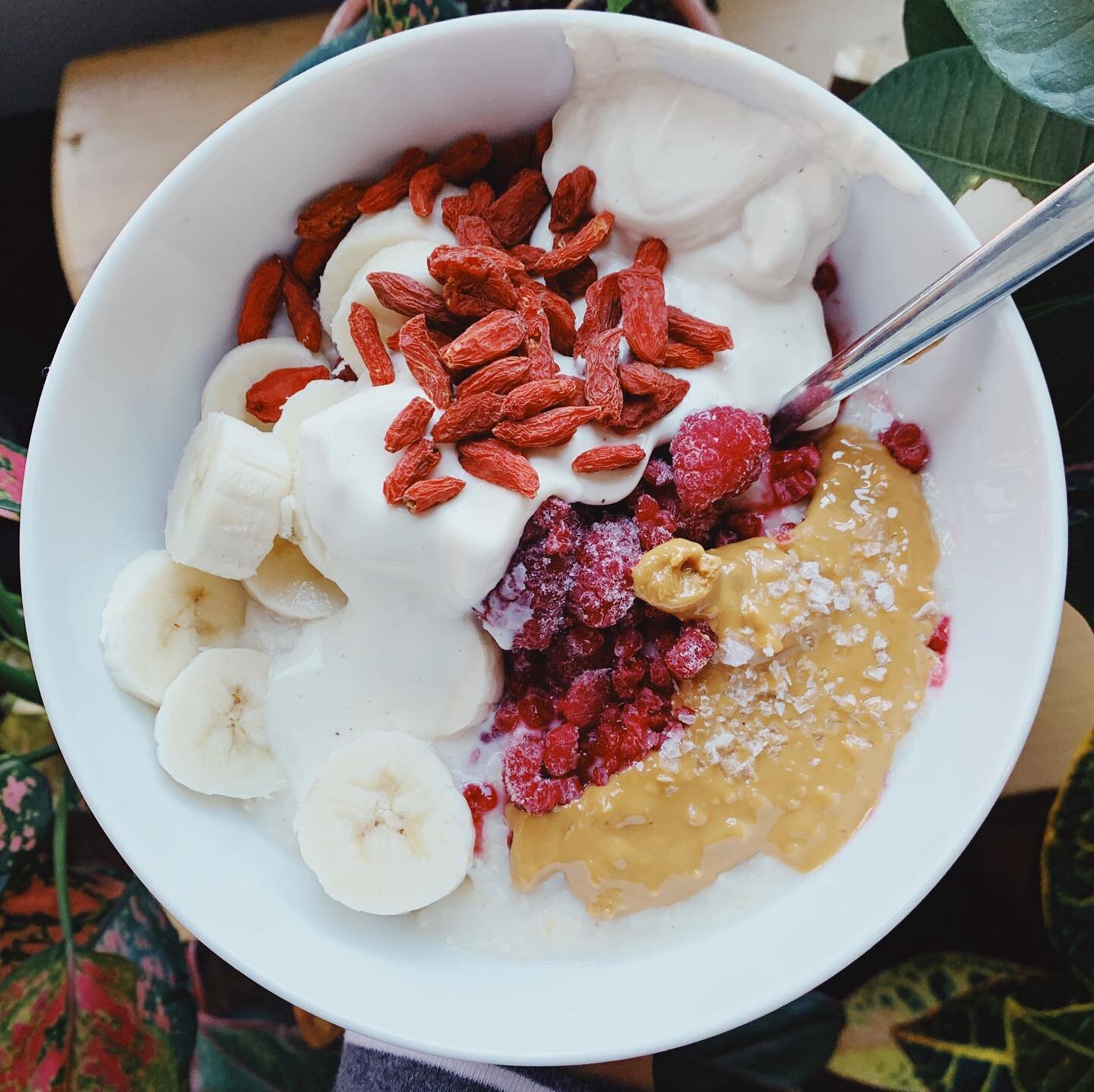 hot &amp; cold breakfast cloud bowl 🌿 long live the plant #whatveganseat