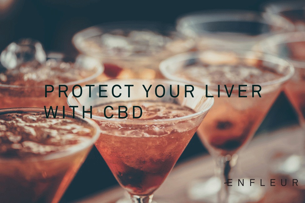 protect-liver-cbd-enfleur.jpg