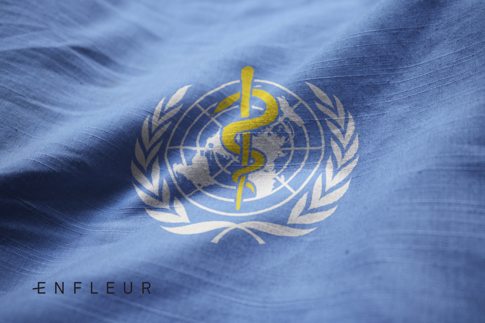 enfleur-blog-world-health-organization-cbd.png