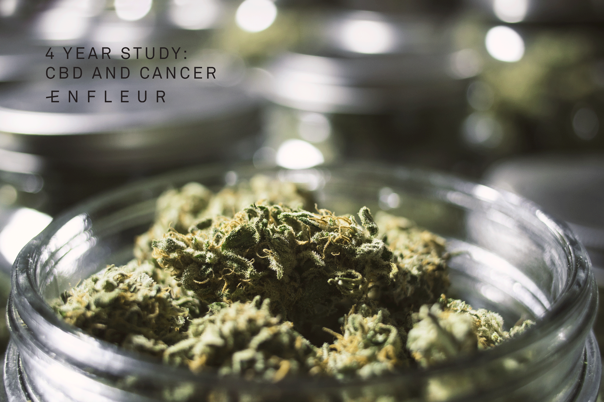 enfleur-blog-cbd-cancer-study.png