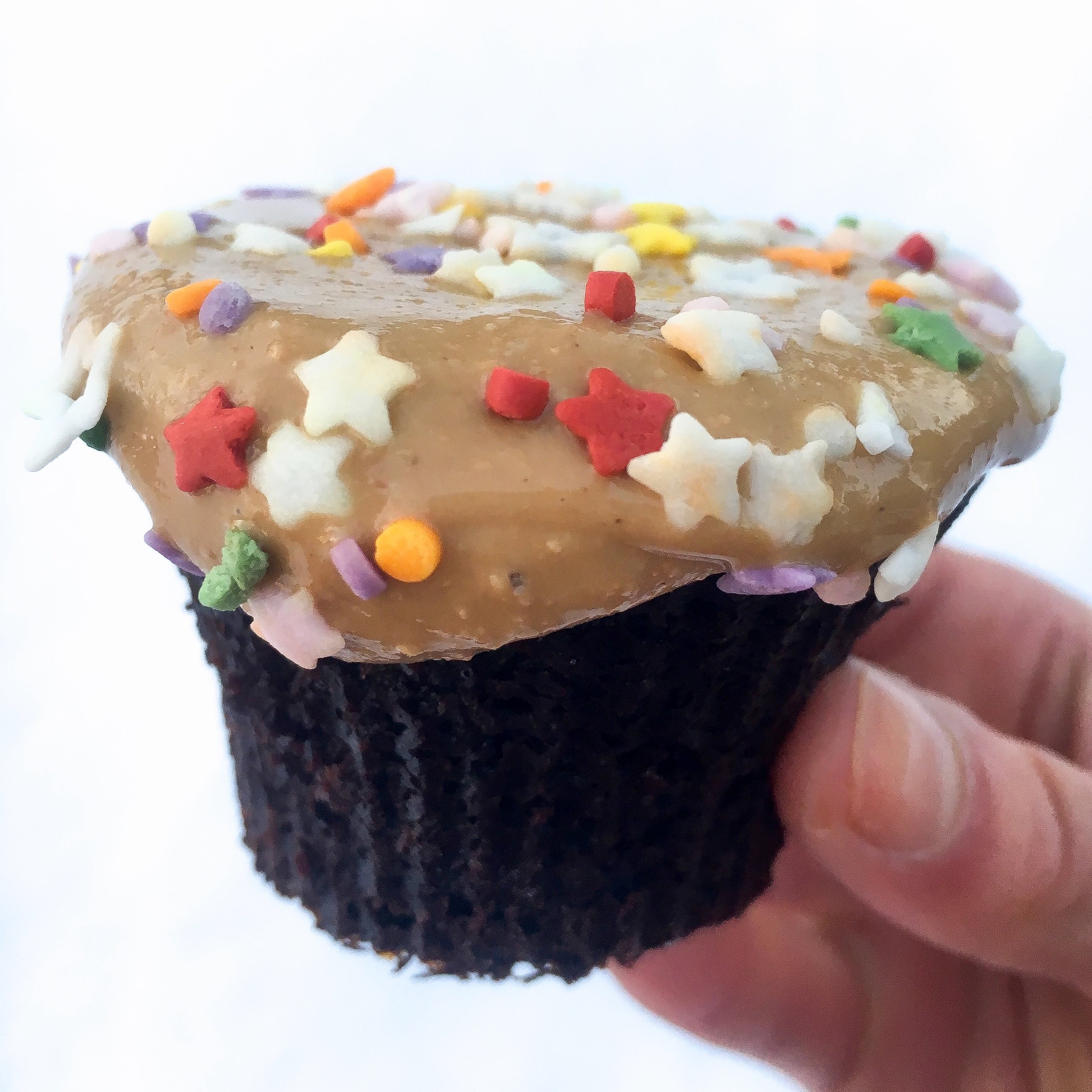 Paleo Chocolate Cupcakes (grain free)