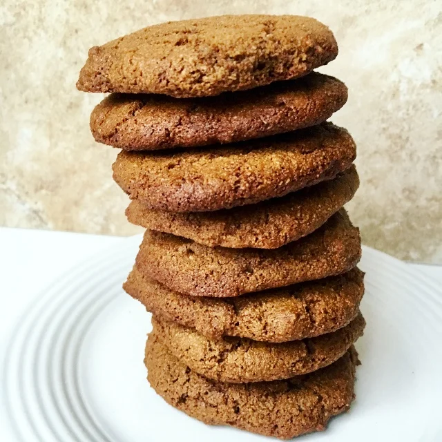 Gingerbread Cookies (paleo, grain free)