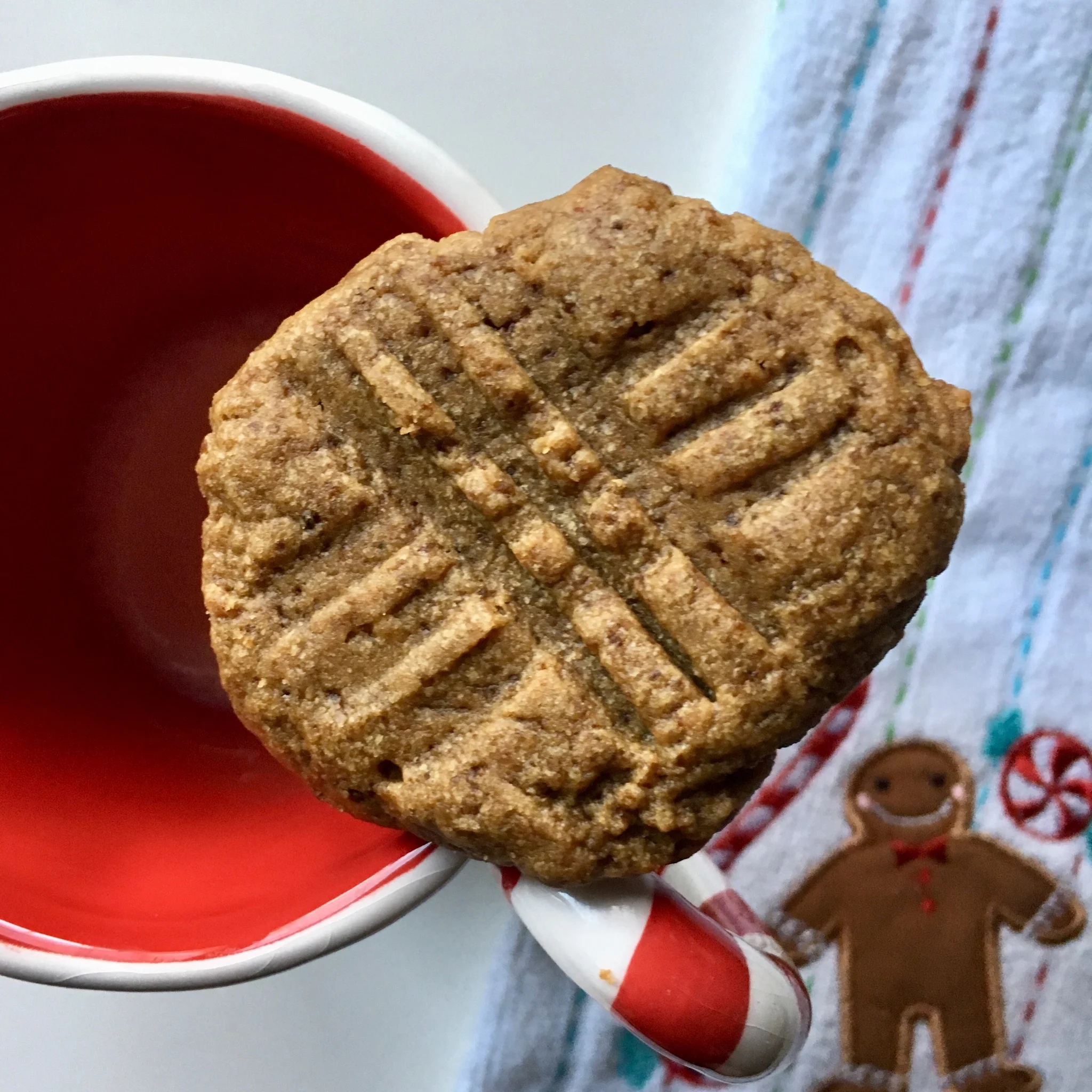 3 Ingredient Peanut Butter Cookies (gluten, grain, dairy, &amp; refined-sugar free)