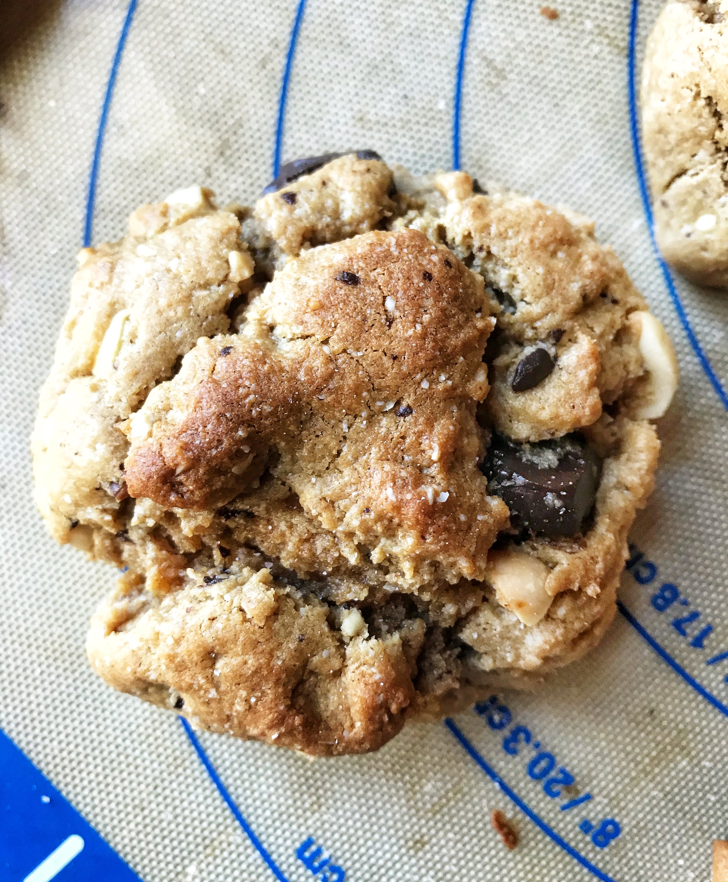 Grain Free Peanut Butter Chocolate Chunk Cookies (df, gf, refined sugar free)