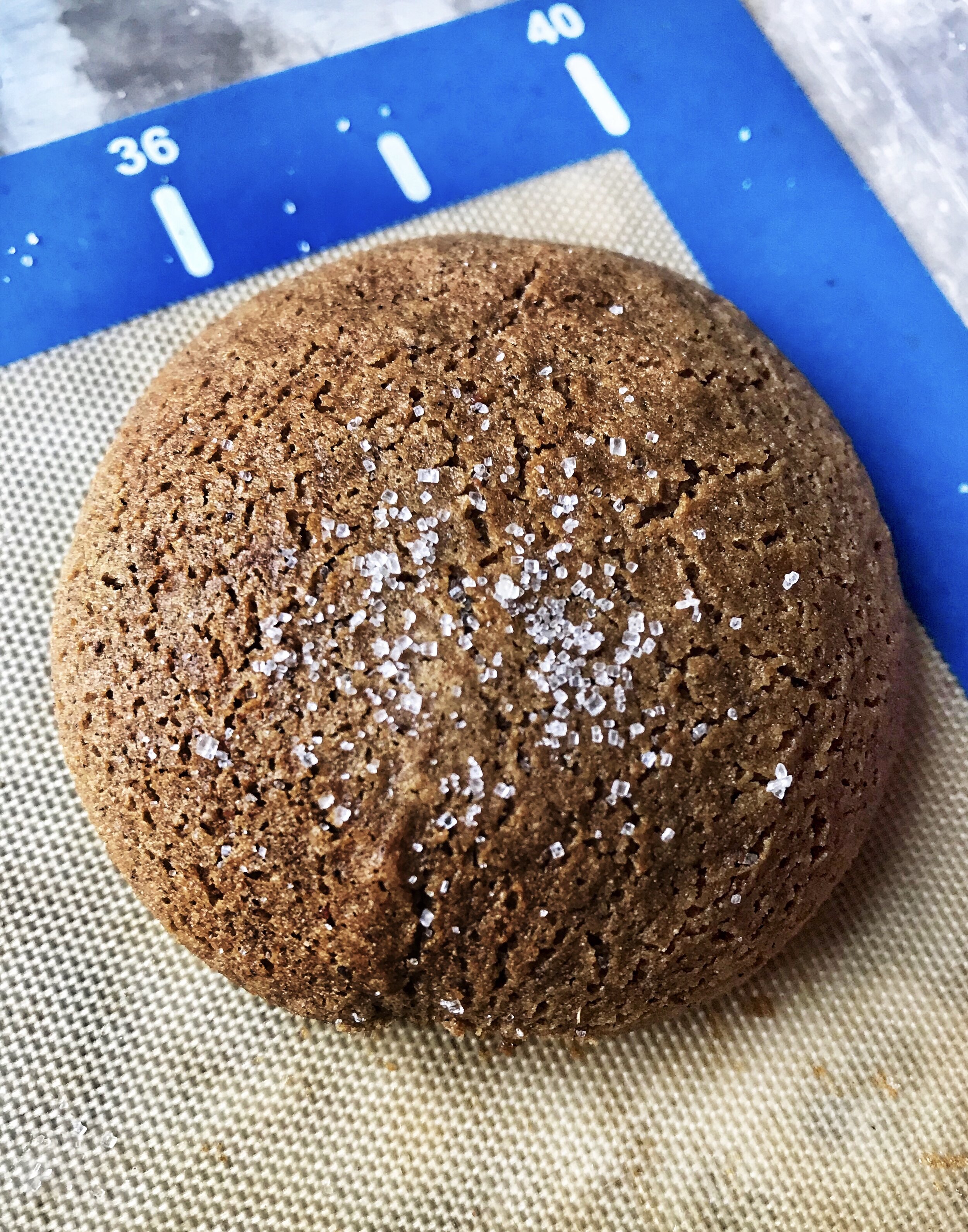 Vegan Gingerbread Cookies (gf, nut free)