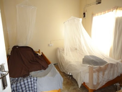 beds with netting.jpg