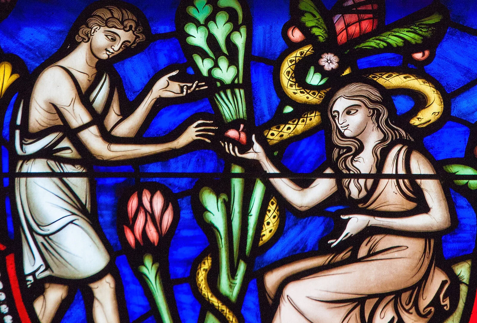 God's Image: Male &amp; Female (Part 8) 
