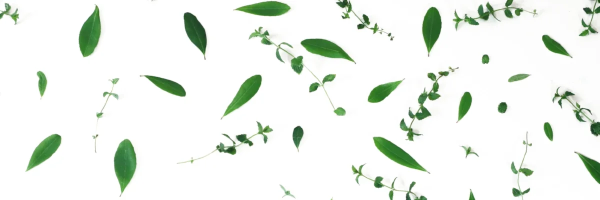 MintFlatLay.jpg