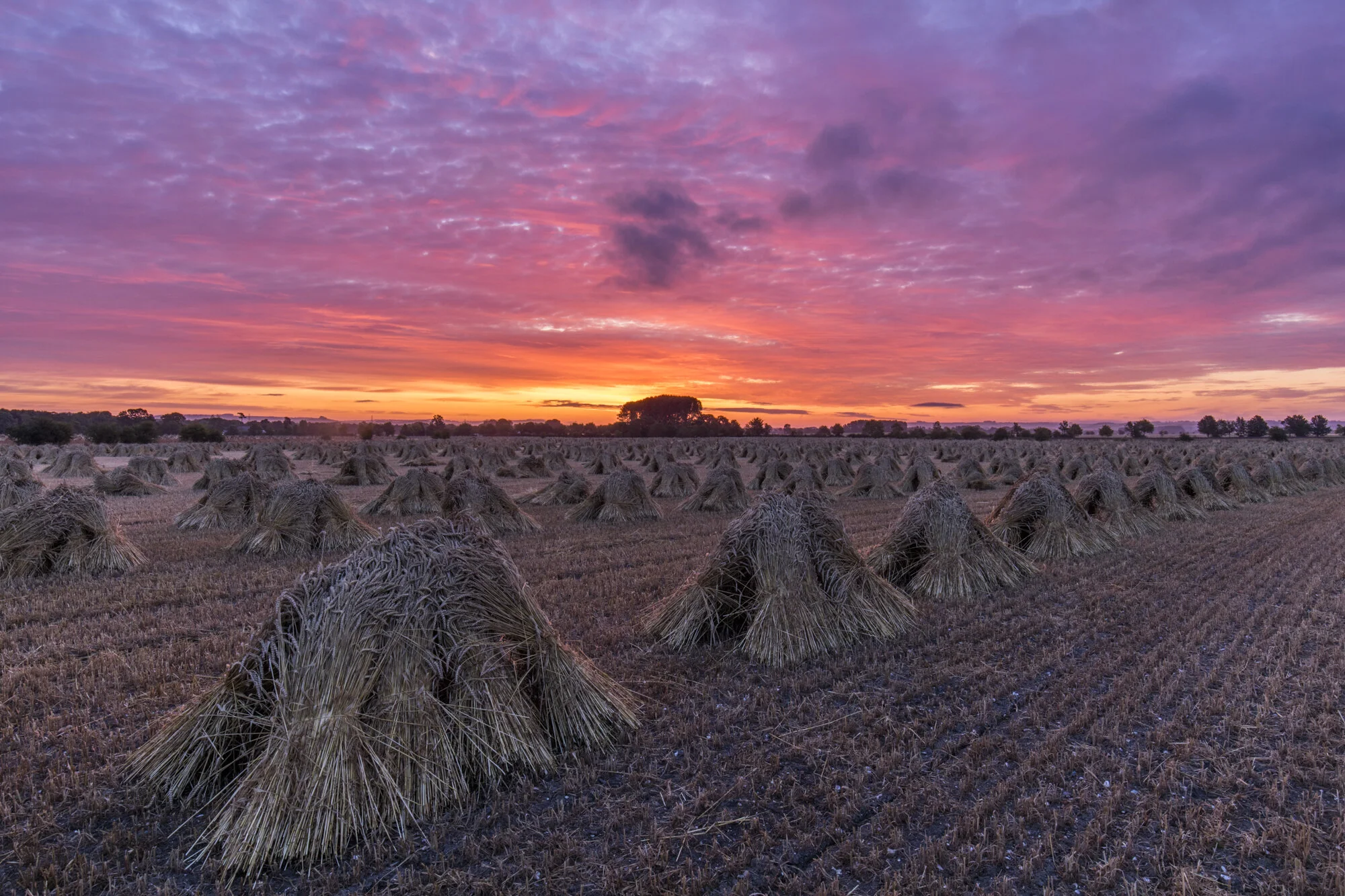 For Squarespace-3604.jpg