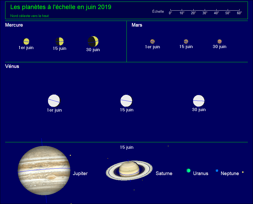 Les planètes à l’échelle pour le mois de juin 2019