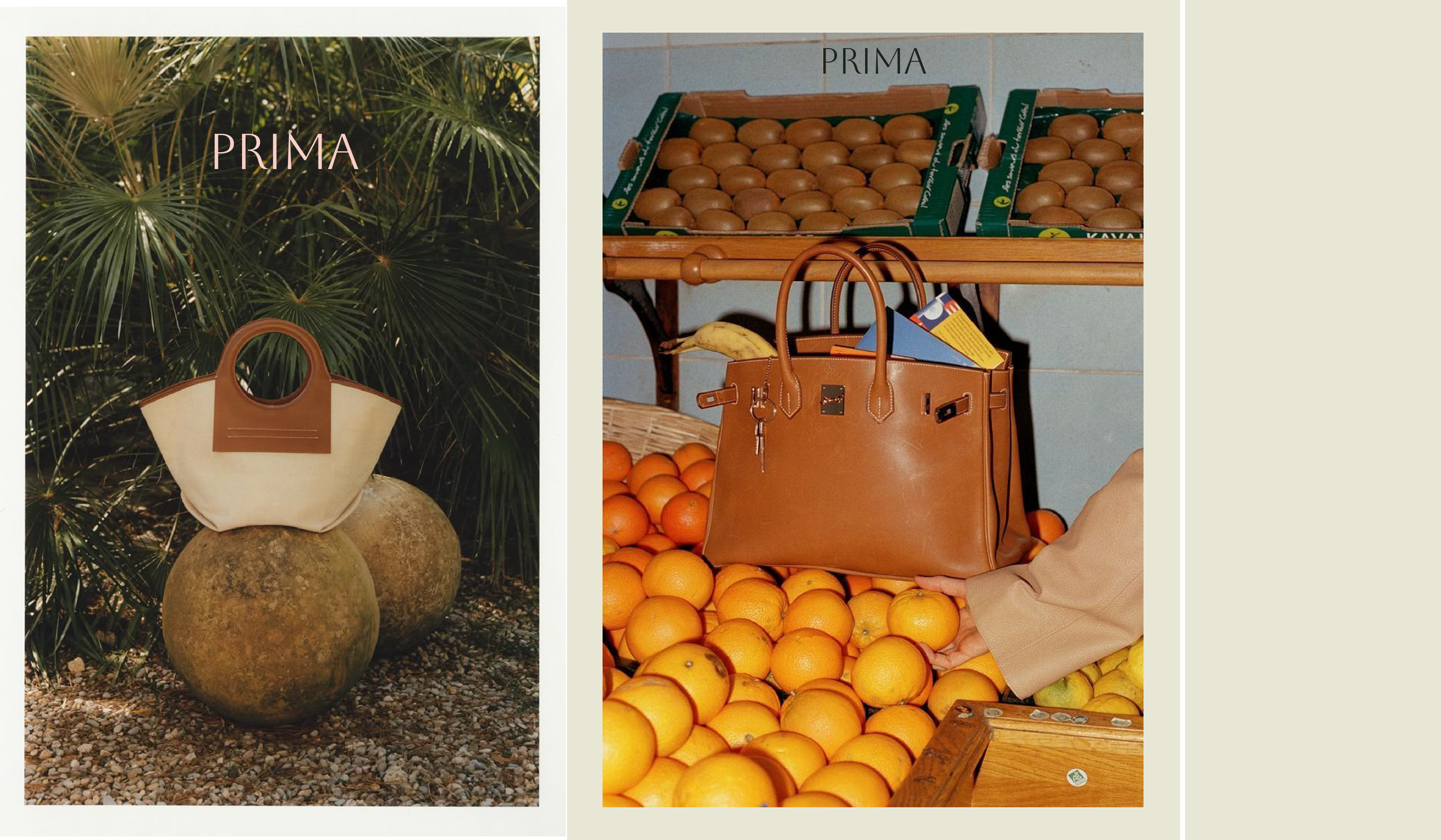 Prima Branding–Visual Identity and Social Media–Alignment Designs Portfolio-17.png