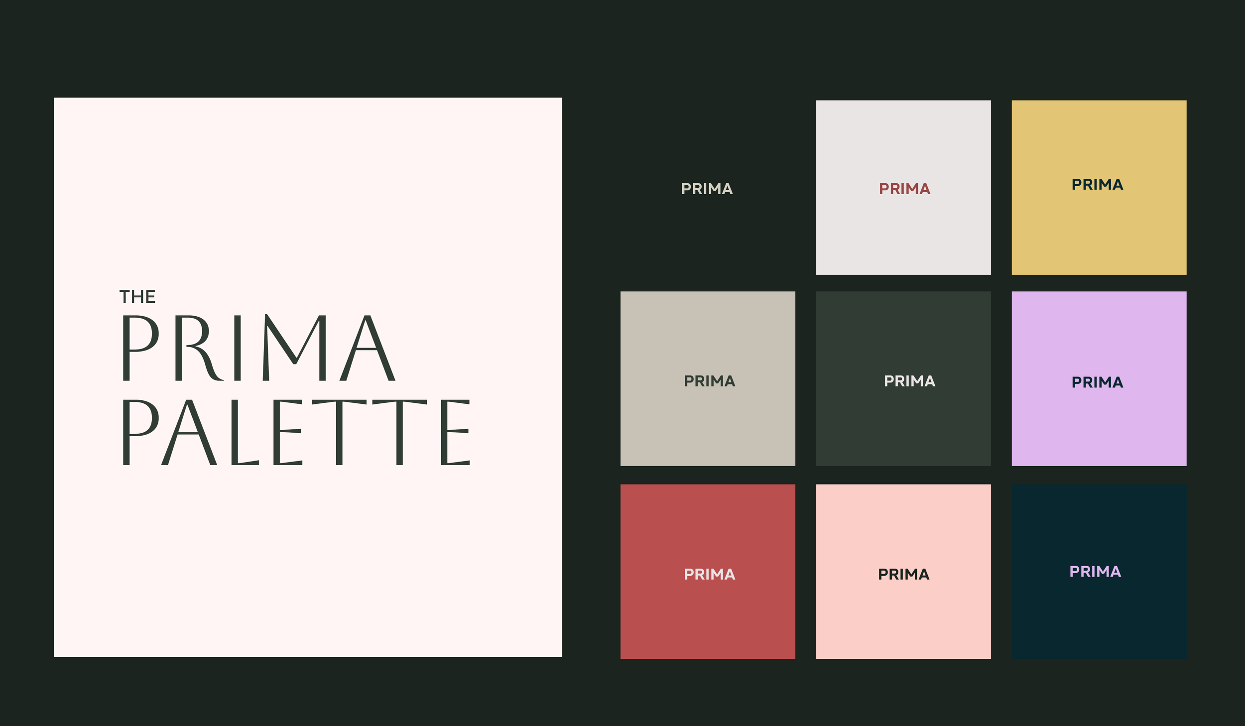 Prima Branding–Visual Identity and Social Media–Alignment Designs Portfolio-07.png