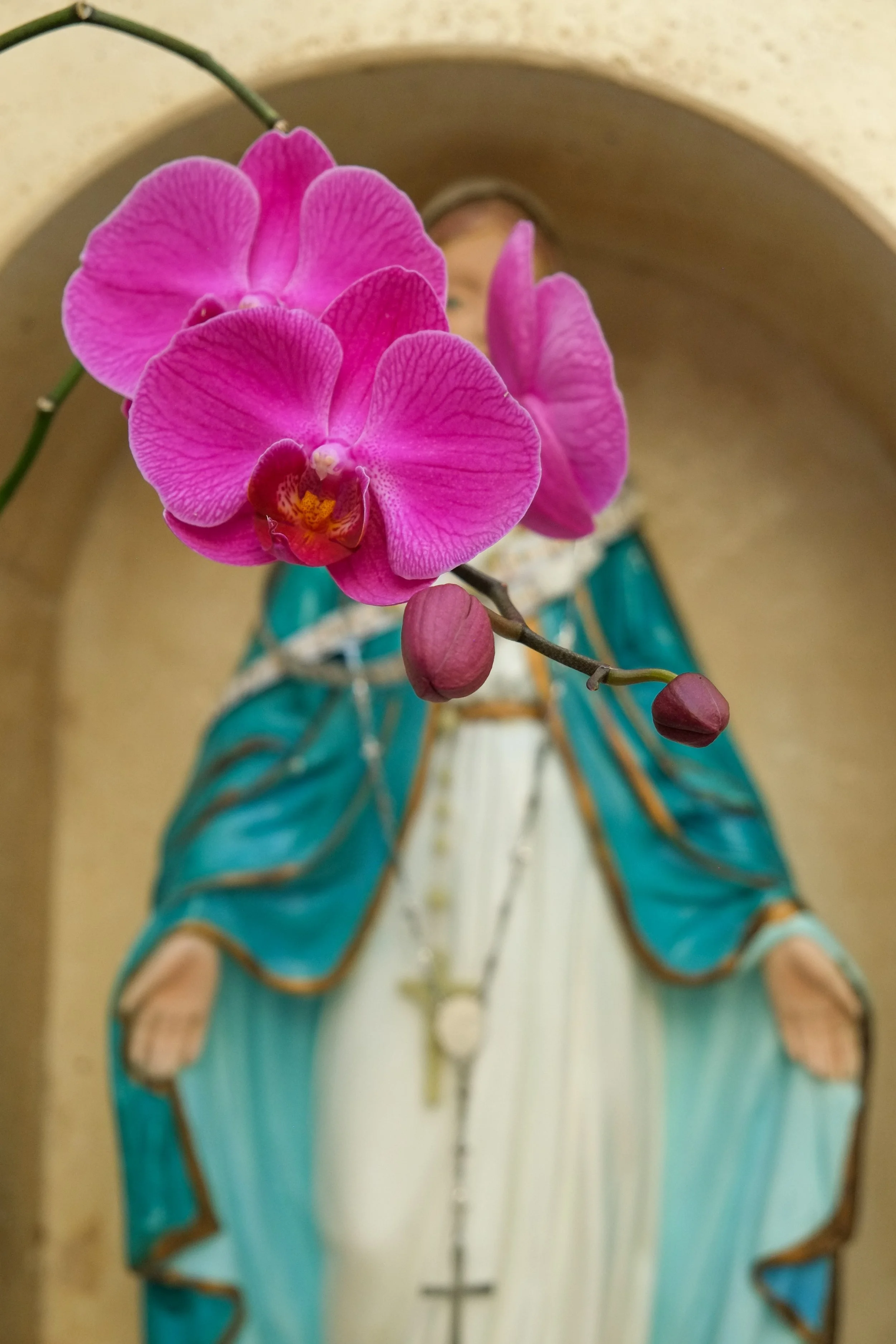 Jordina Walker PUGLIA MARY.jpg