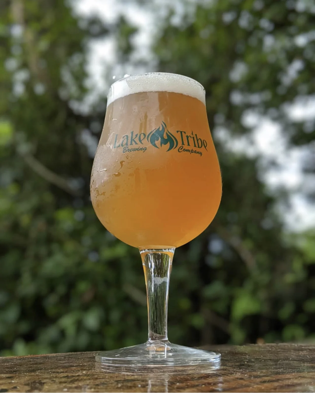 Through the Drinking Glass; Fall Beers