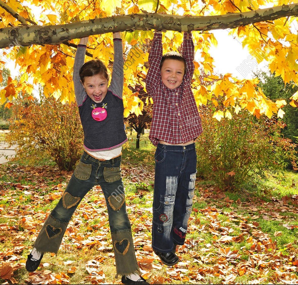 kids hanging from tree.jpg