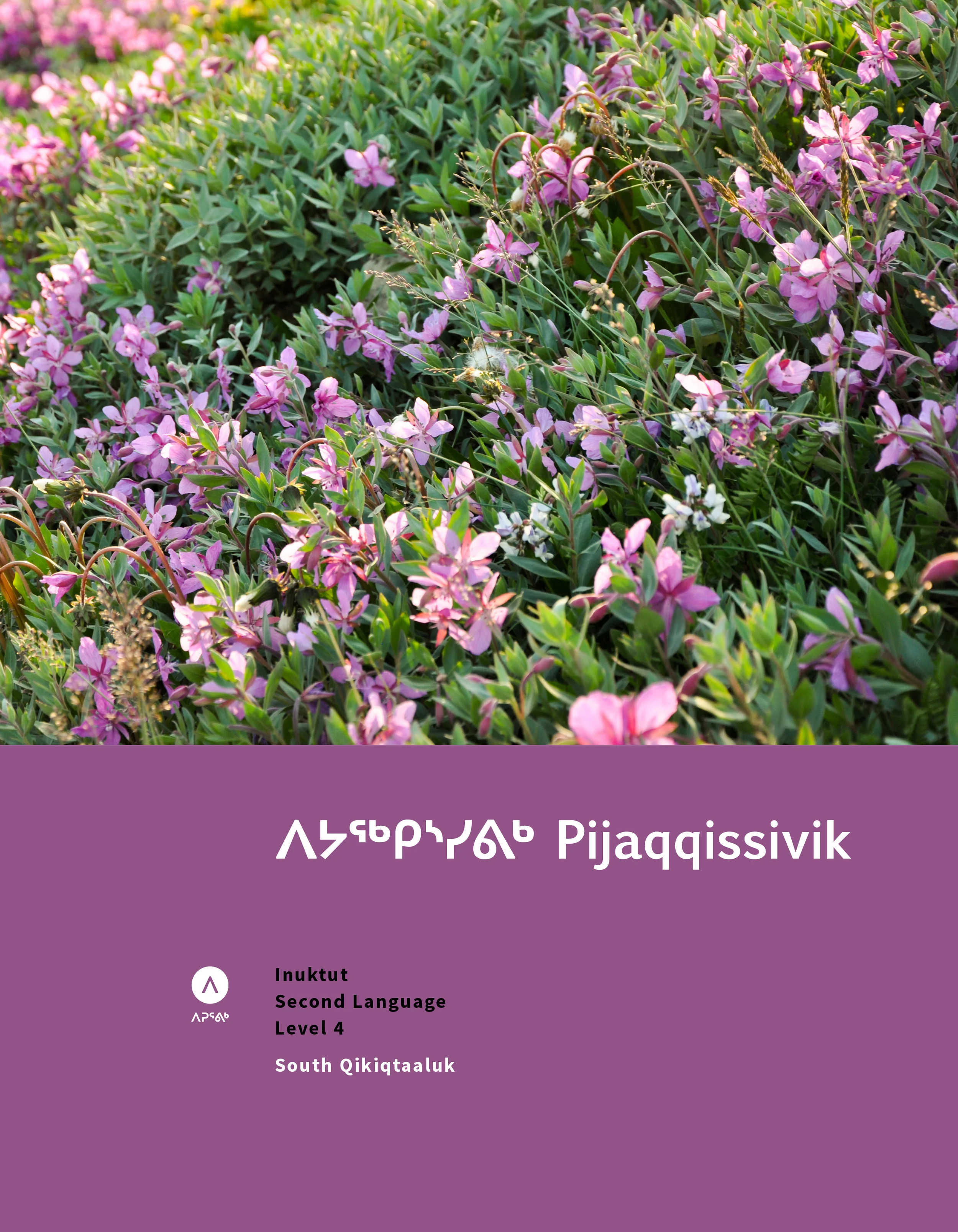 Pijaqqiissivik.jpg