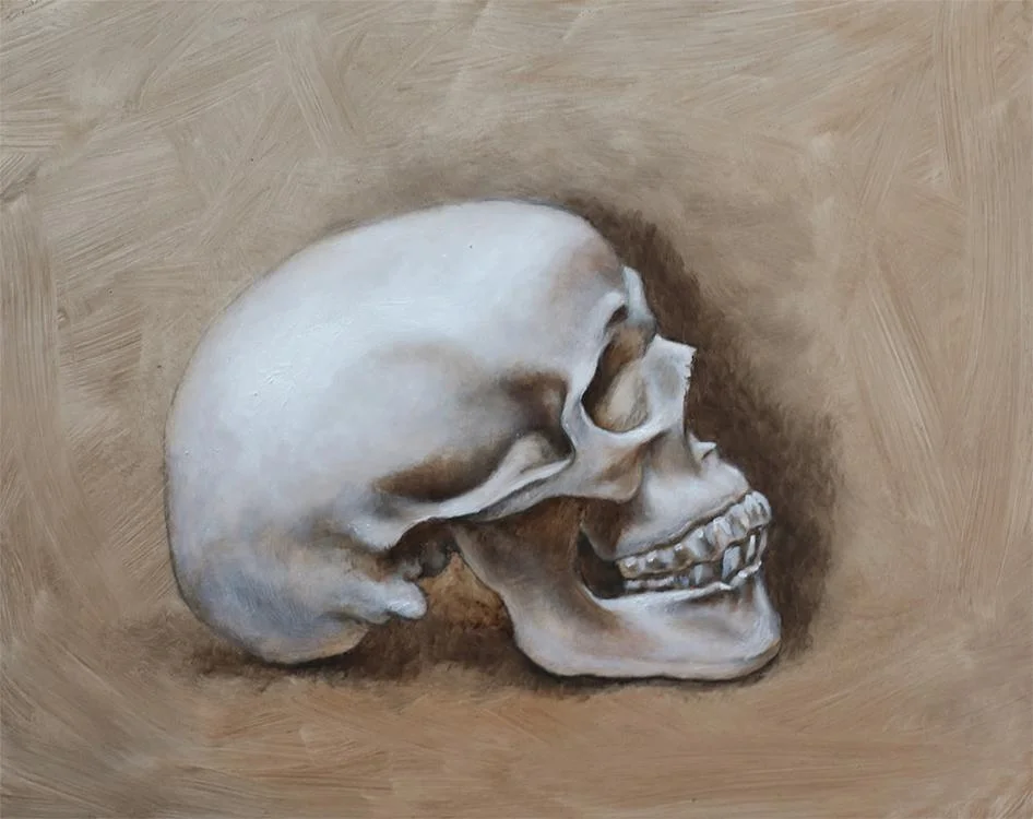 SkullWeb_1024x1024@2x.jpg