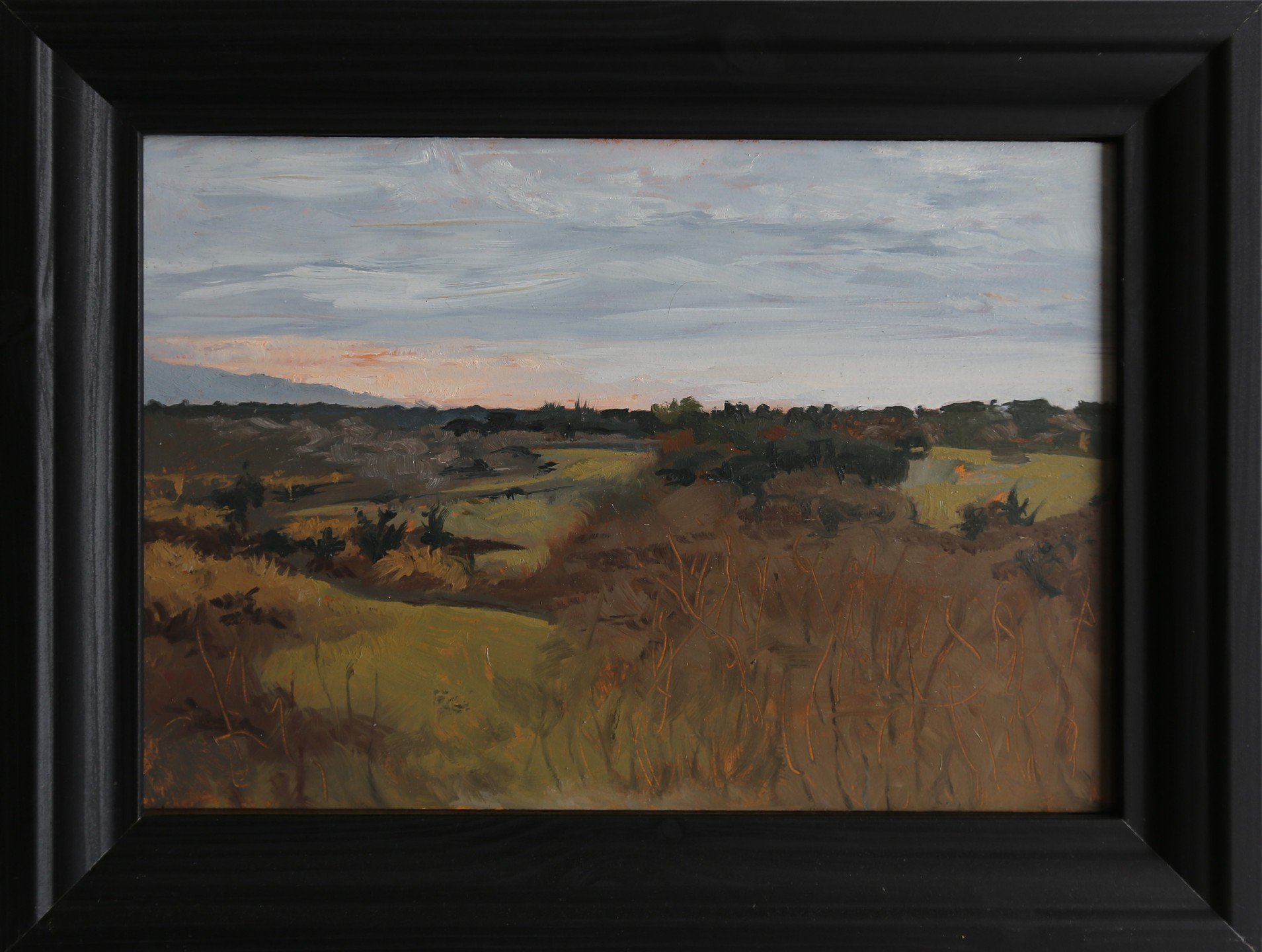 Studio sale painting 1. 
View over Parco Caffarella 2020, Rome, Italy. This is a plein air painting (done on location), done just before the covid lockdown. I was listening to Jethro Tull and loving life that morning. The wind was cold and there was 