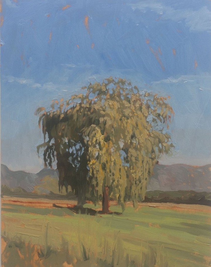 Studio sale 3.
Plein air painting of a Willow.
I painted this last summer on a beautiful, warm day. Sometimes the act of painting a picture feels good, sometimes it is a miserable fight. This one felt good. 
Oil on panel 20 x 30 cm
100 euro (+ shippi