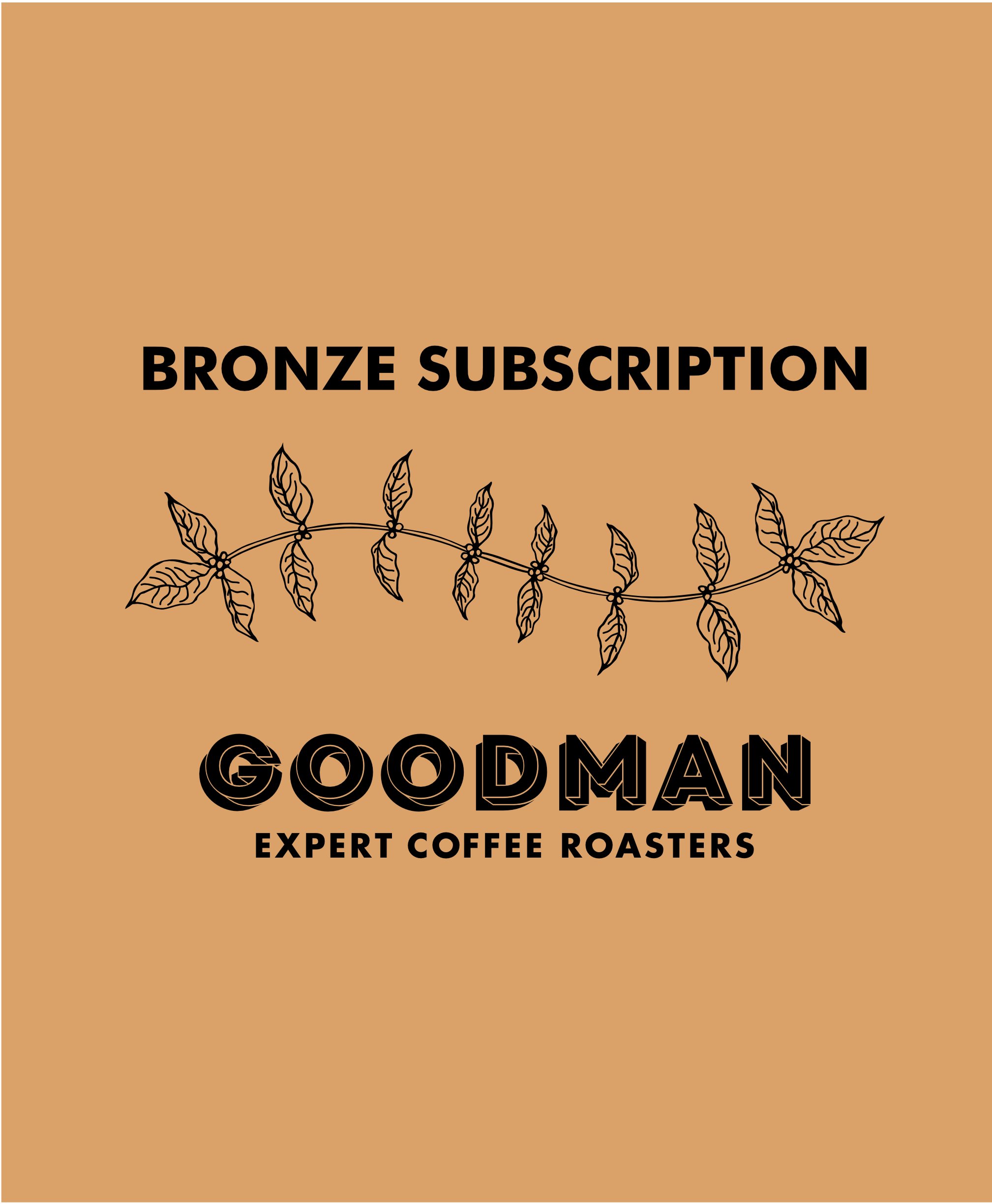 Bronze Subscription