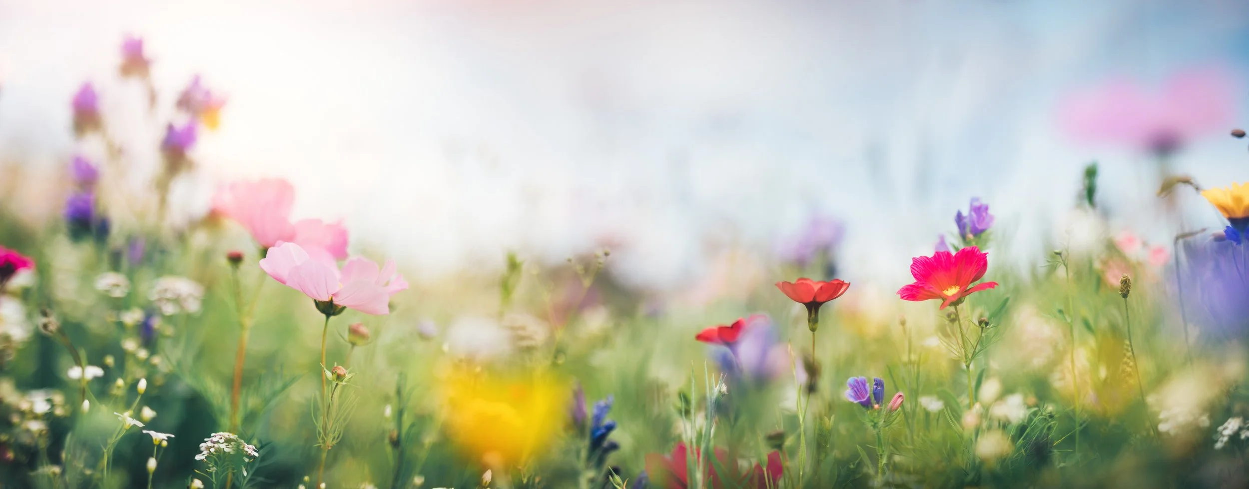 flowers.jpg