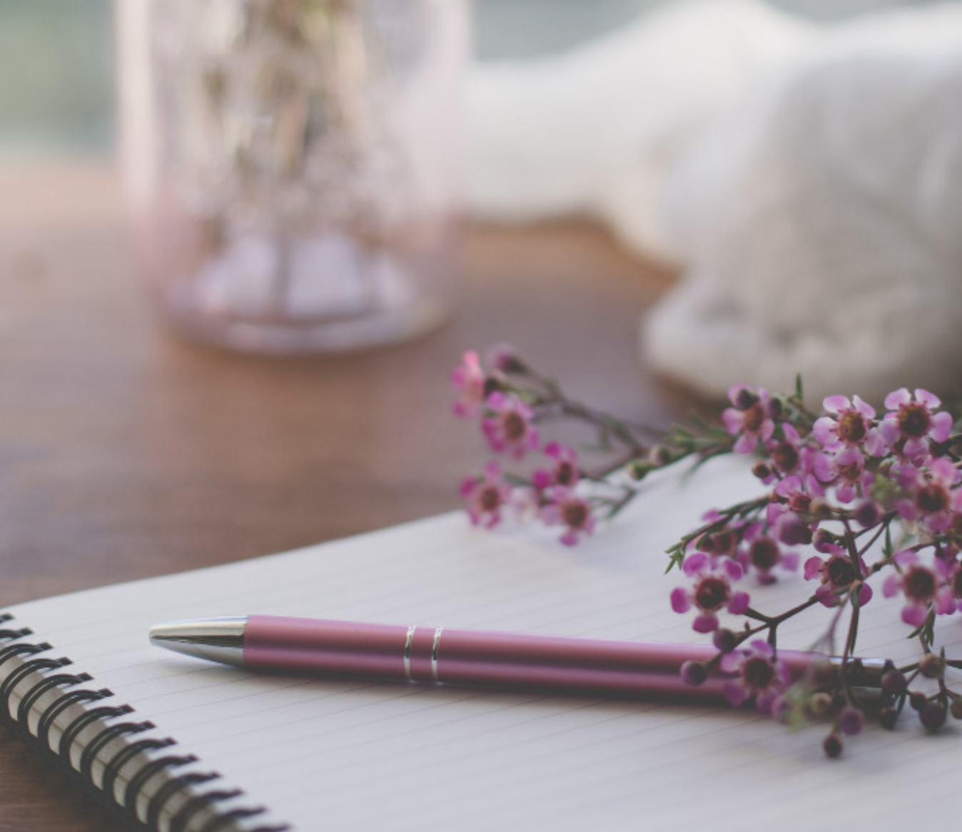 Non-Toxic Living Plan