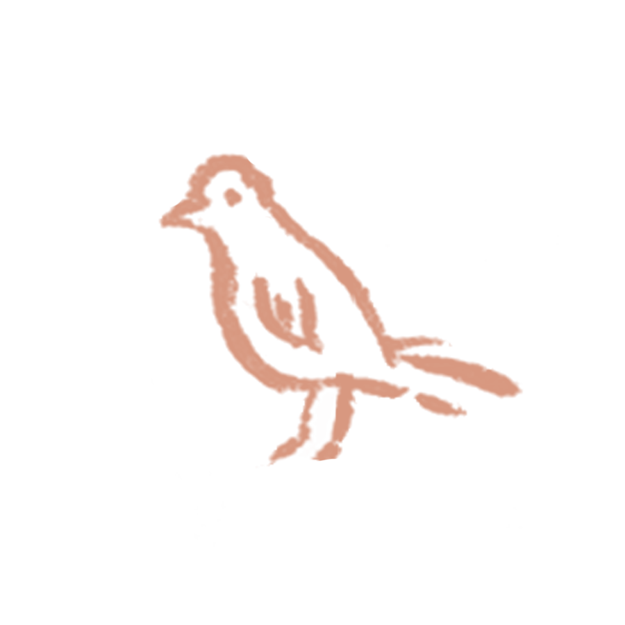Doodles - bird - coral.png