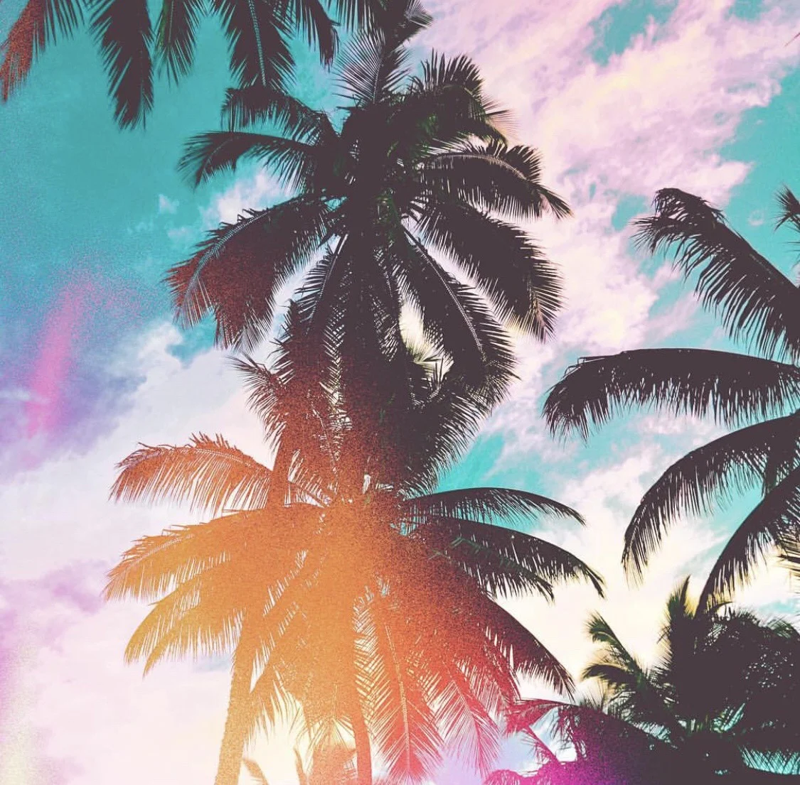 Signature Classes — Wild Child Gym