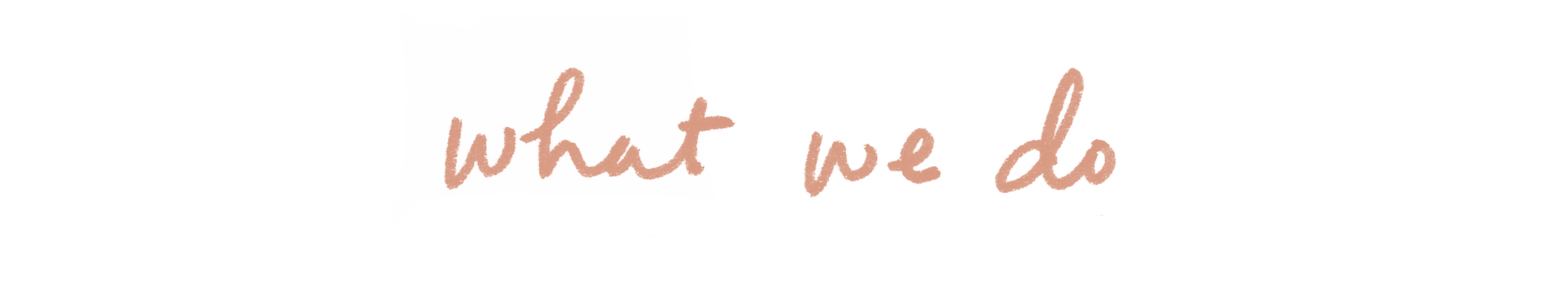 web header - what we do.png