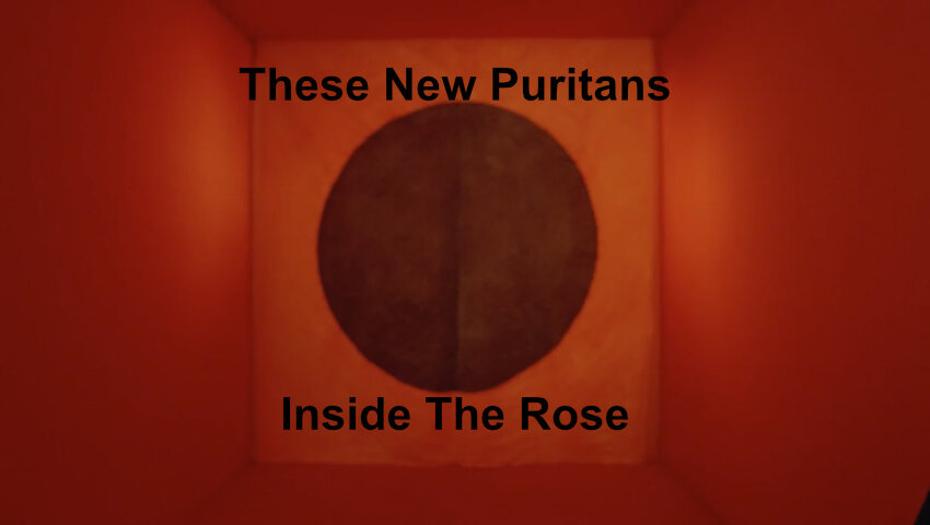 These New Puritans- Inside The Rose