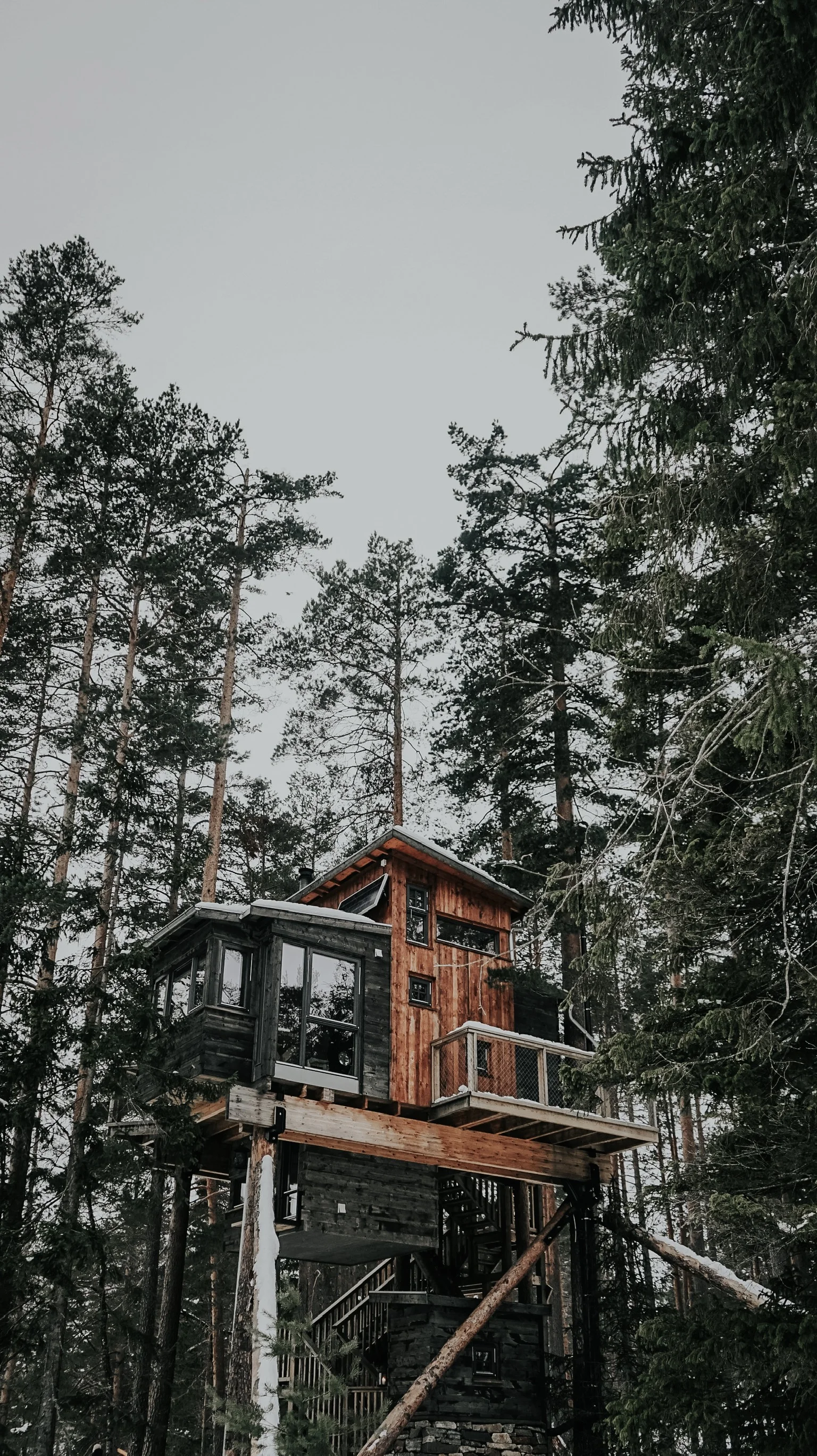 “Gjøkeredet” - Photographed by Catrine Krispinussen