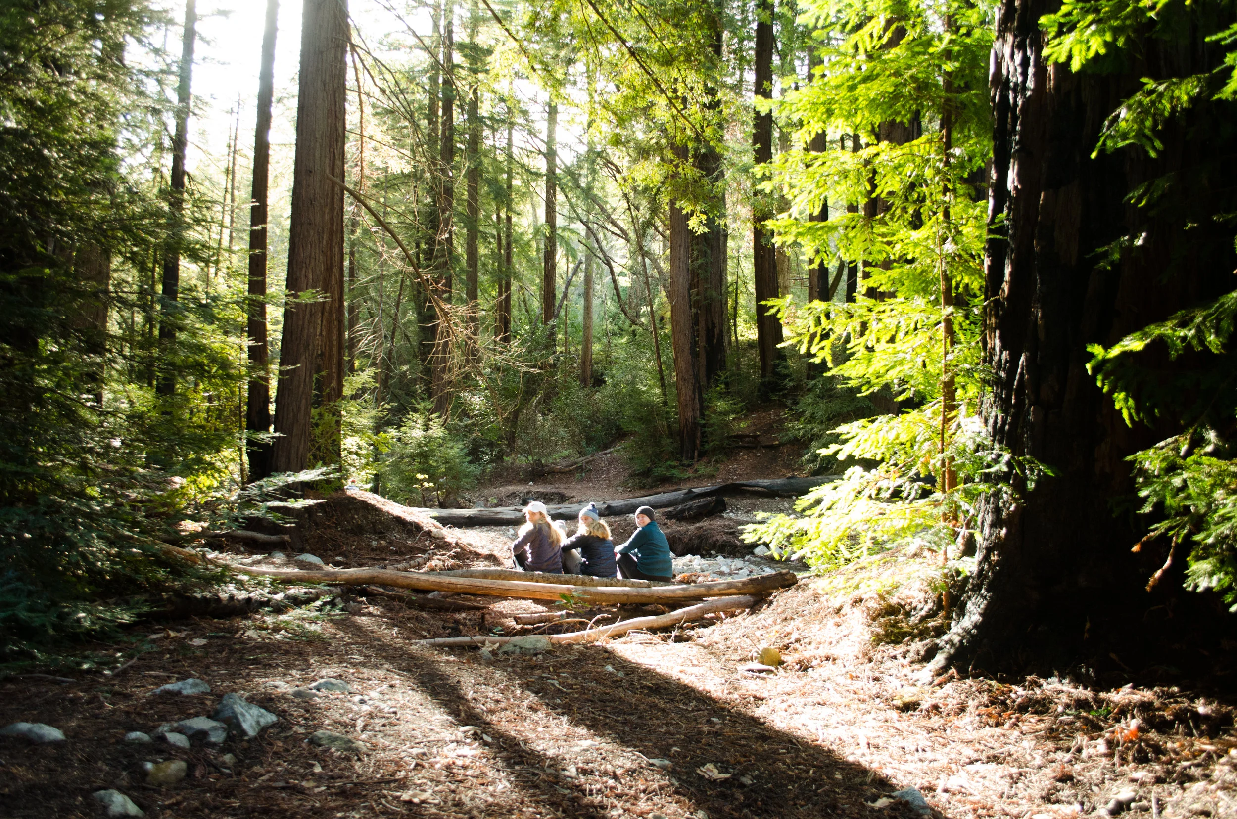 bigfunbigsur-6.jpg