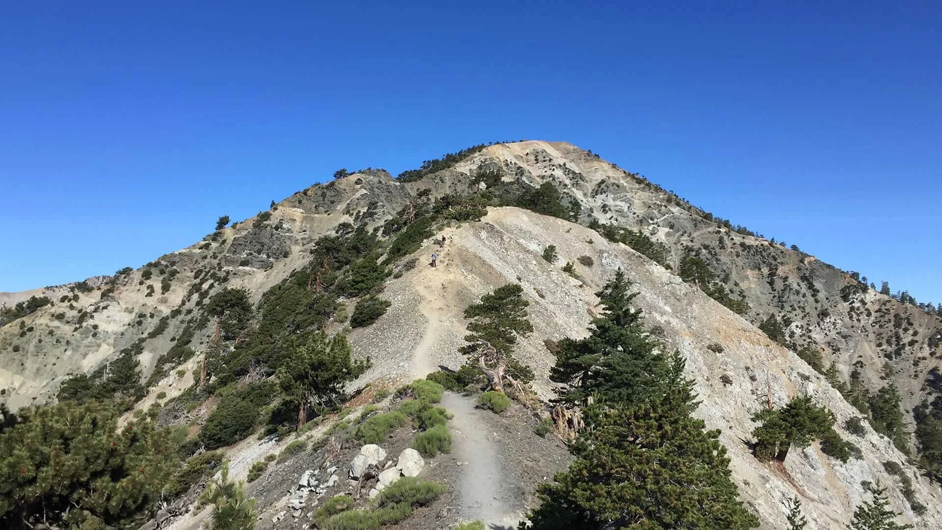 devils-backbone-trail-1 - Bryte Darden.jpg