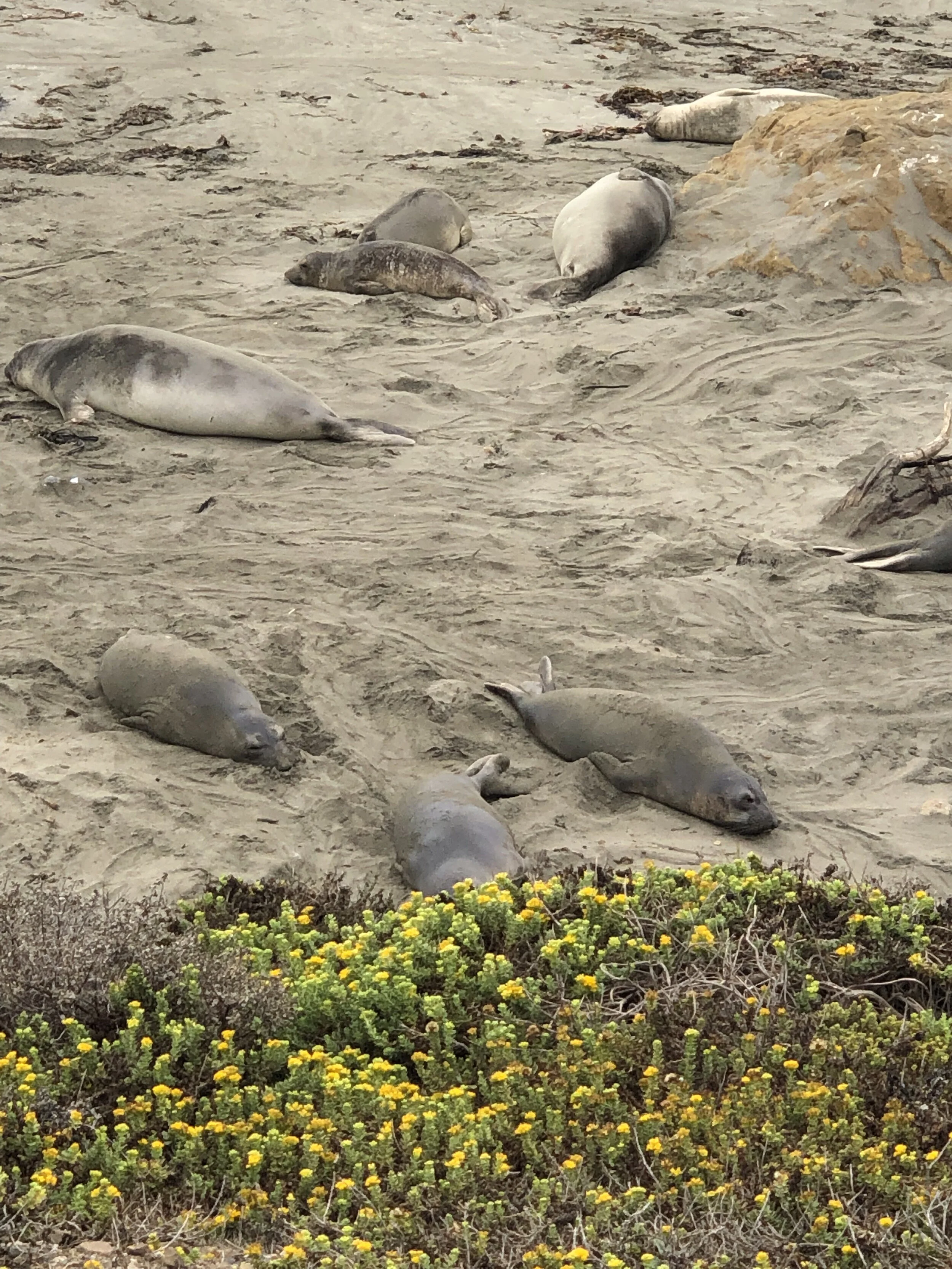 Ghouls and Gals Take Big Sur