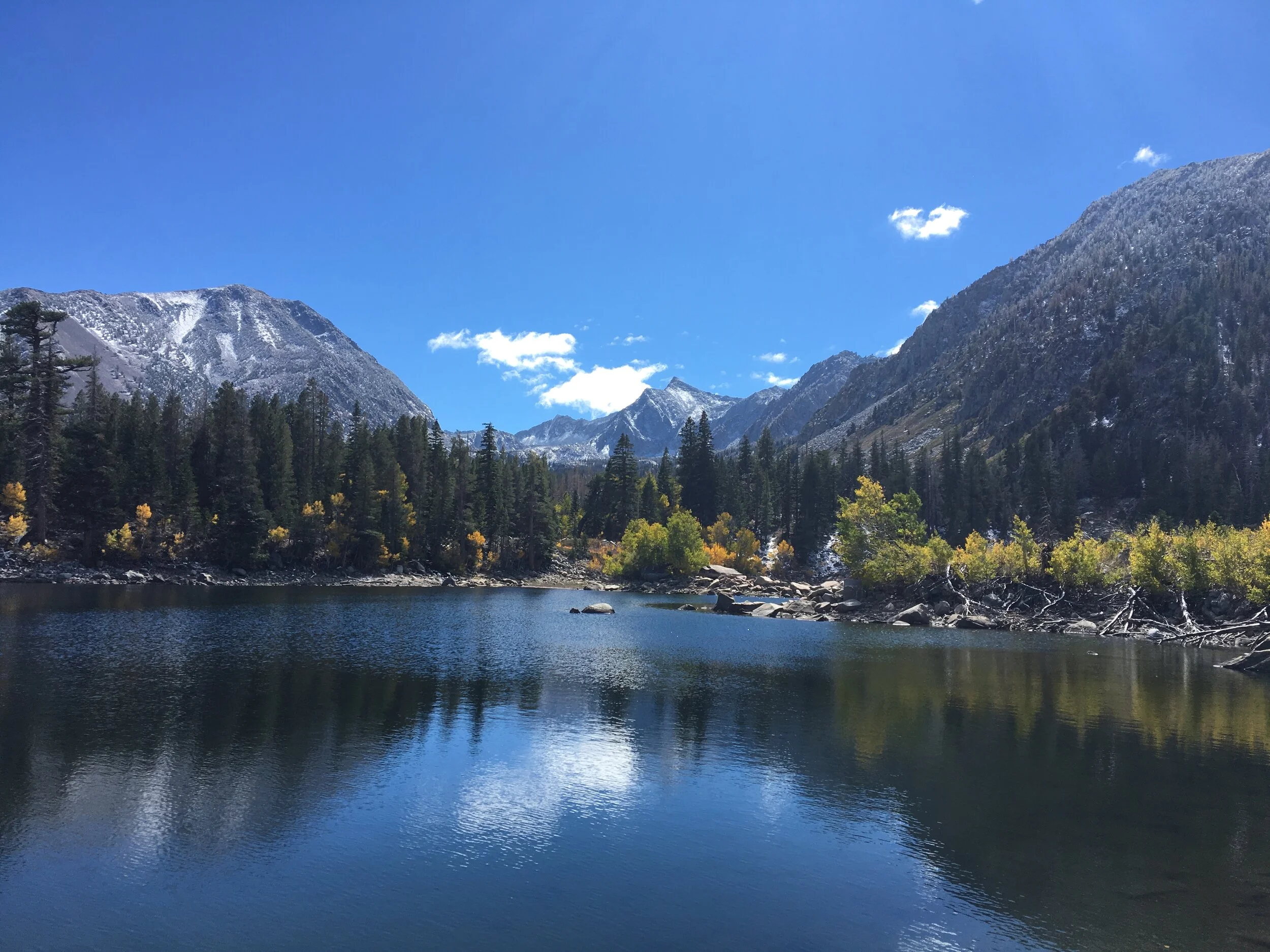Wake n' Lake