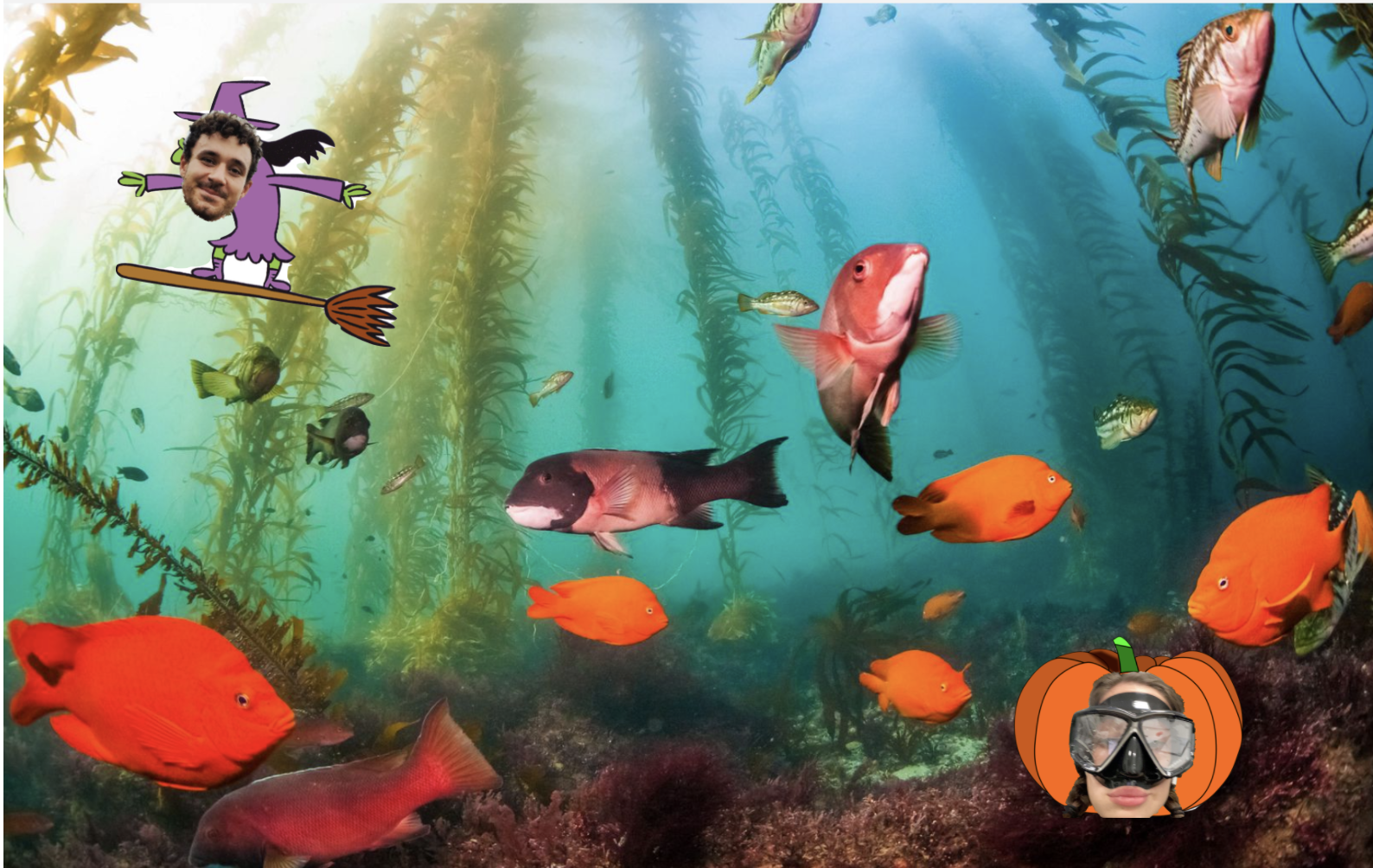Spooktober Spearfishing!!