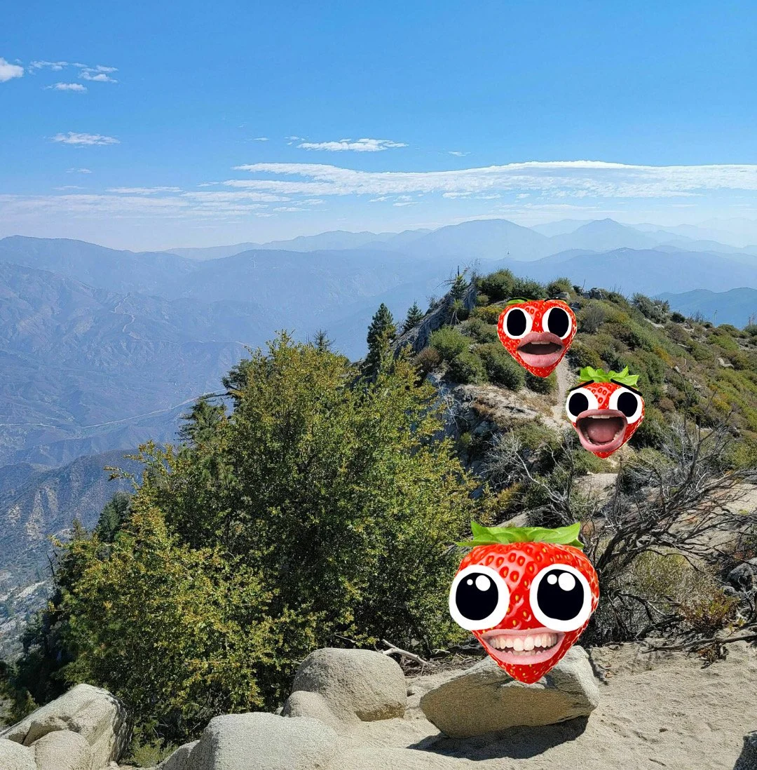 Strawberry Peak Day Hike!