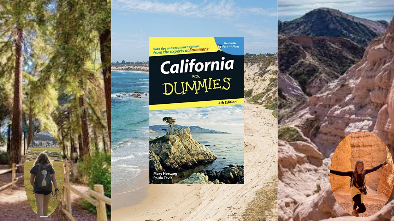 California for Dummies
