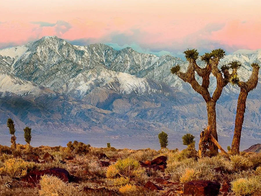 San Gorgonio Study Days