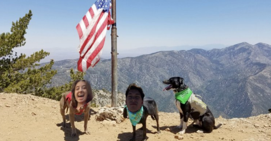 Get ur bowels movin on Mt Baden Powell