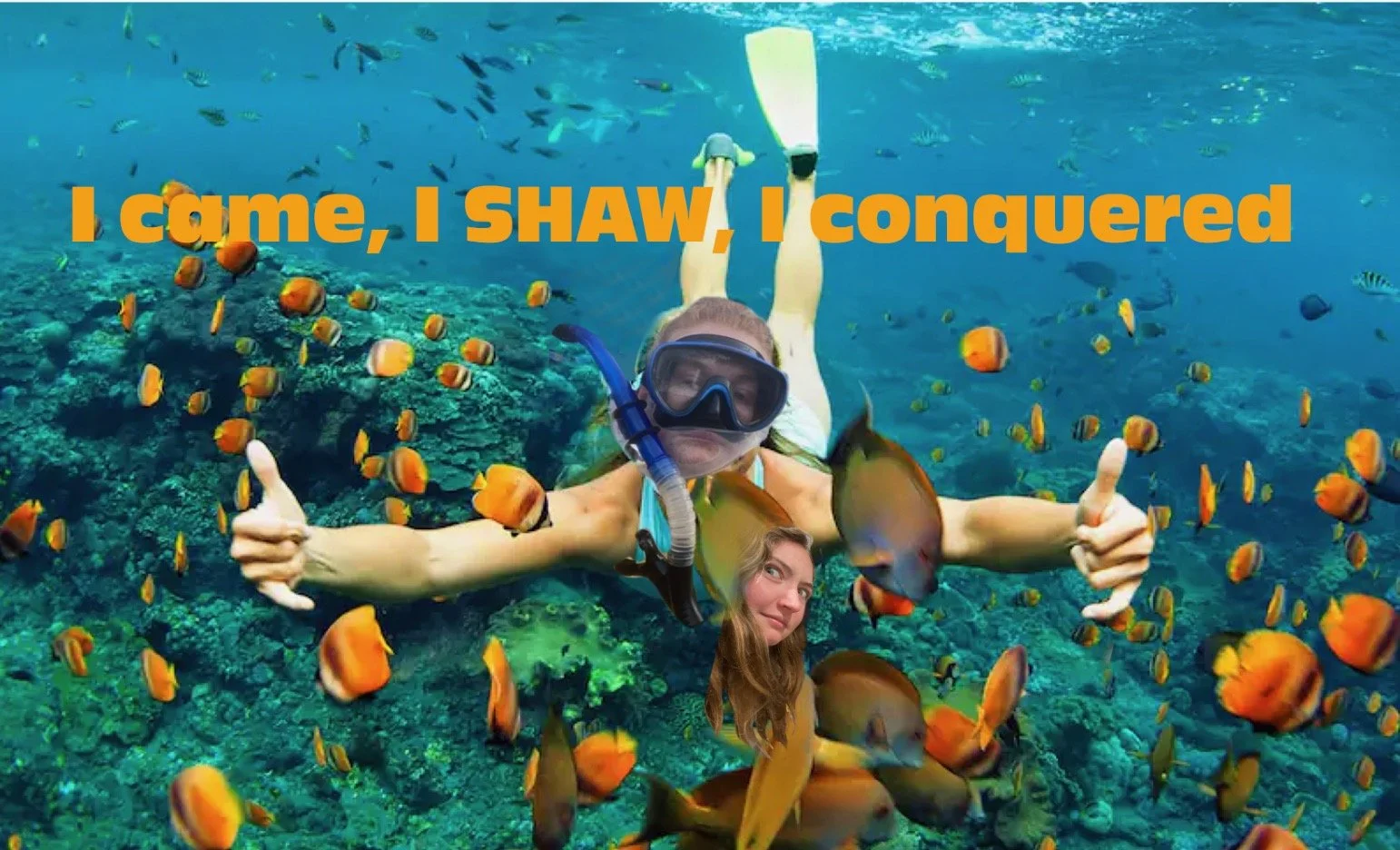 I came, I SHAW, I conquered (the ocean)