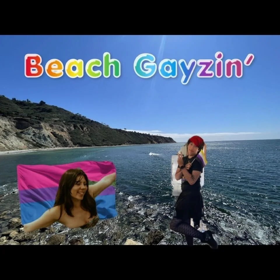 Beach Gayzin'