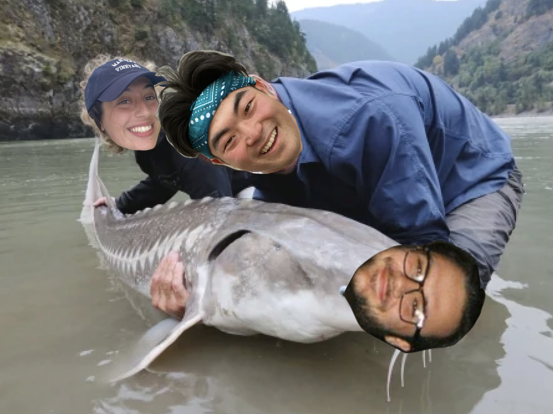 Something Fishy