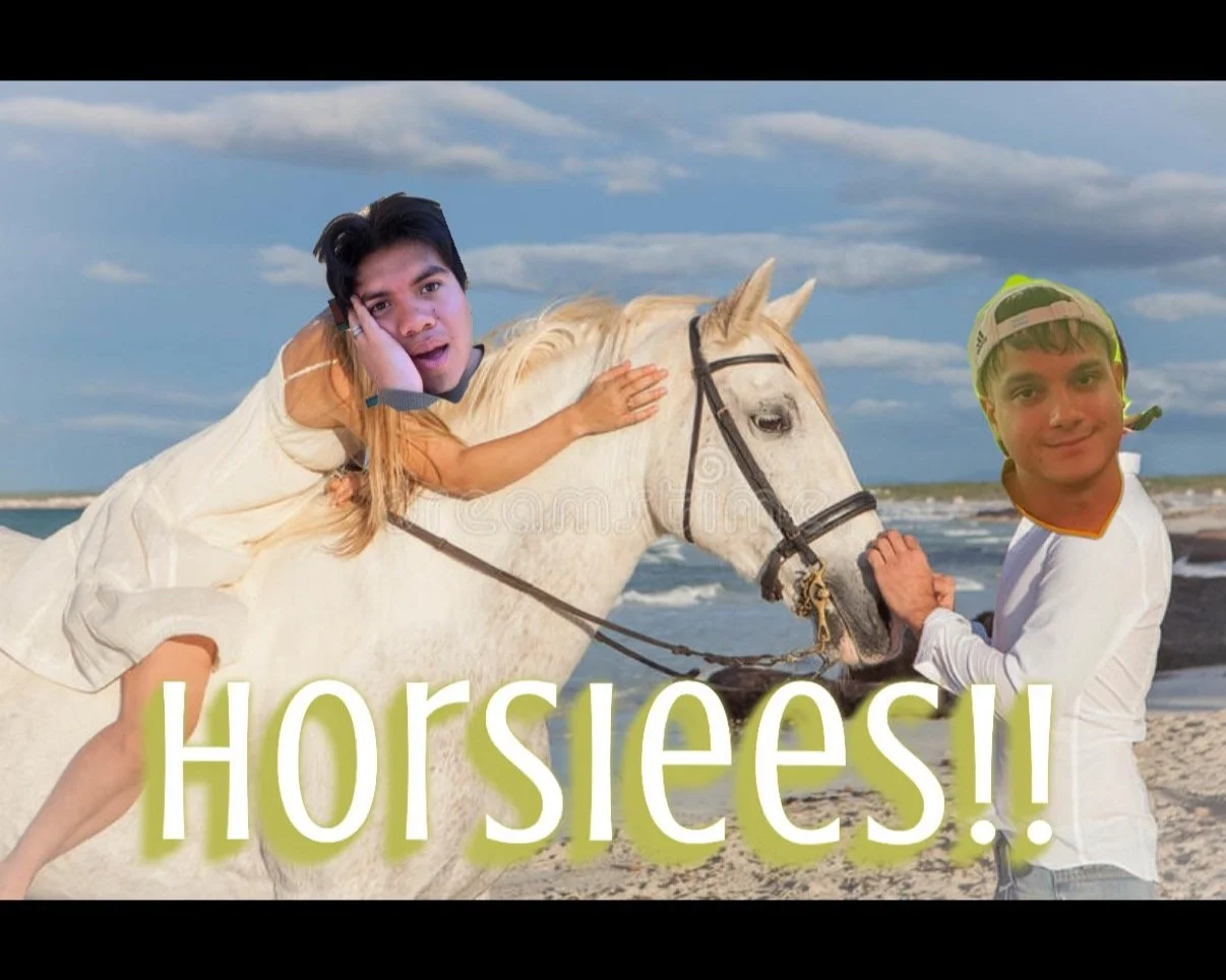 IM GONNA TAKE MY HORSE TO OJAIROAD!
