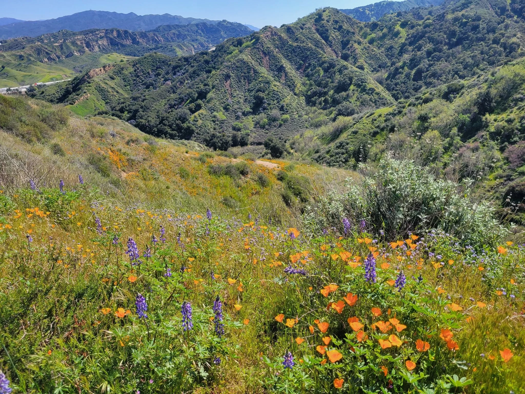 Towslay Canyon (BASECAMP)