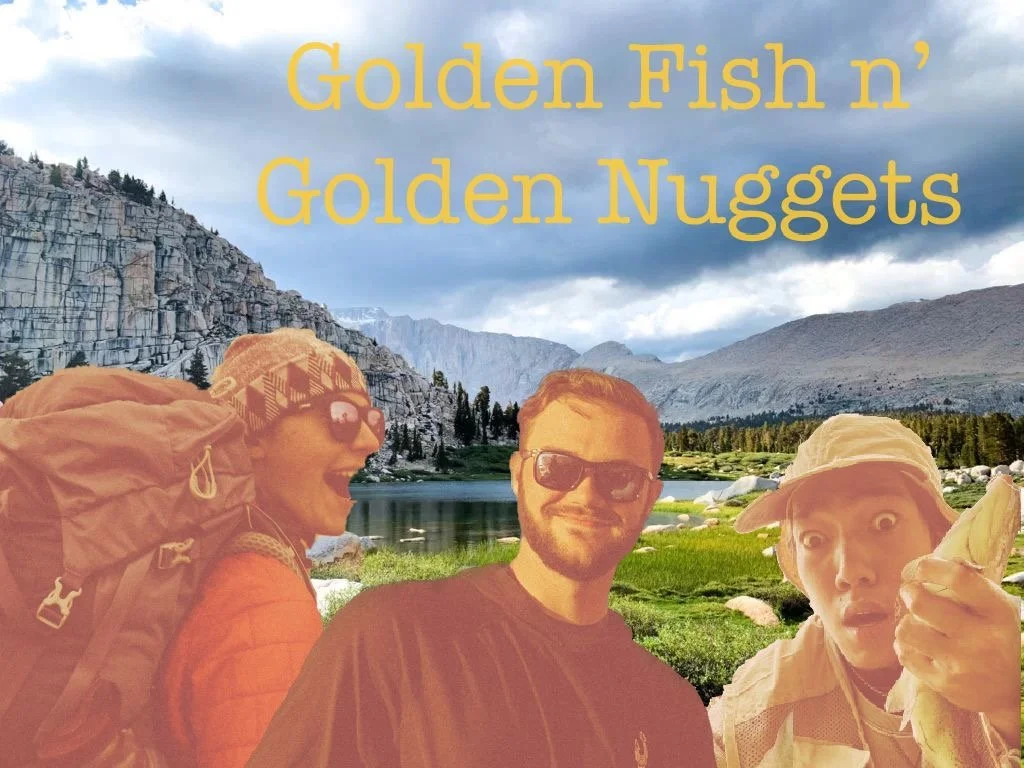 Golden Fish n' Golden Nuggets