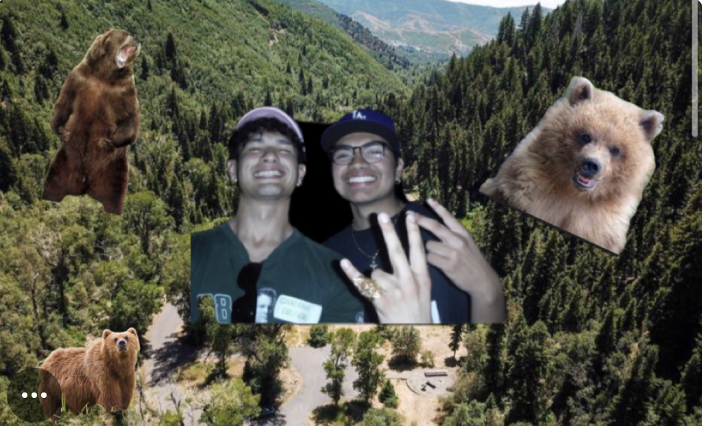 Switzer Shenanigans: The Wild Bear Trek