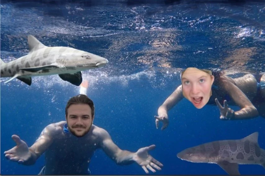 Spotting Sharks and Slotting Canyons