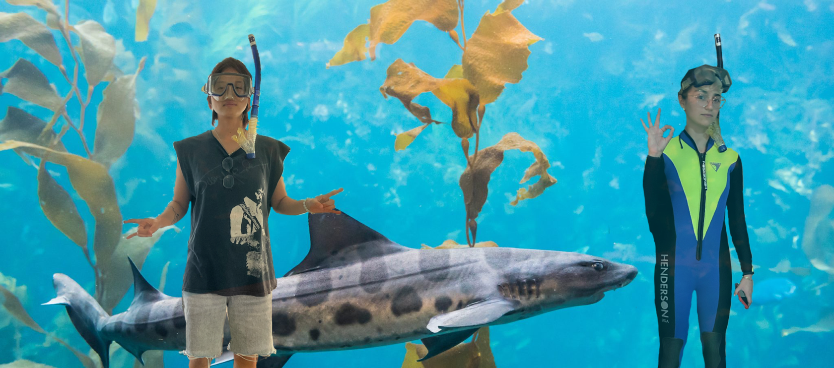 Sharknado but in La Jolla PART 2!!